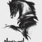 کتاب اسب سیاه| ایده راه