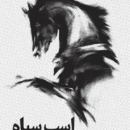 کتاب اسب سیاه اثر تاد رز
